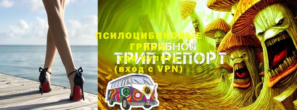 apvp Алзамай