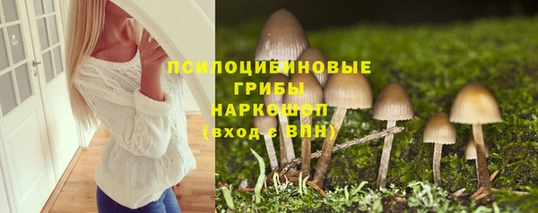 apvp Алзамай