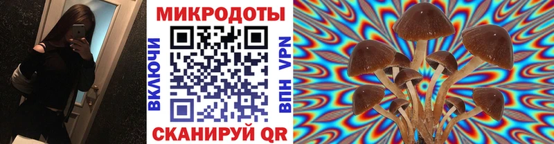 Галлюциногенные грибы Psilocybine cubensis  дарк нет состав  Завитинск 